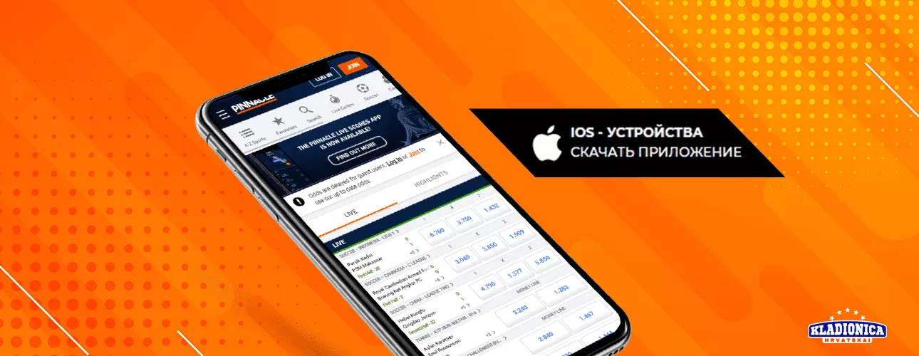 Pinnacle iOS Aplikacija